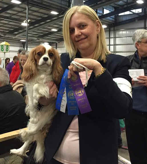 Kc registered cavalier king hotsell charles puppies for sale